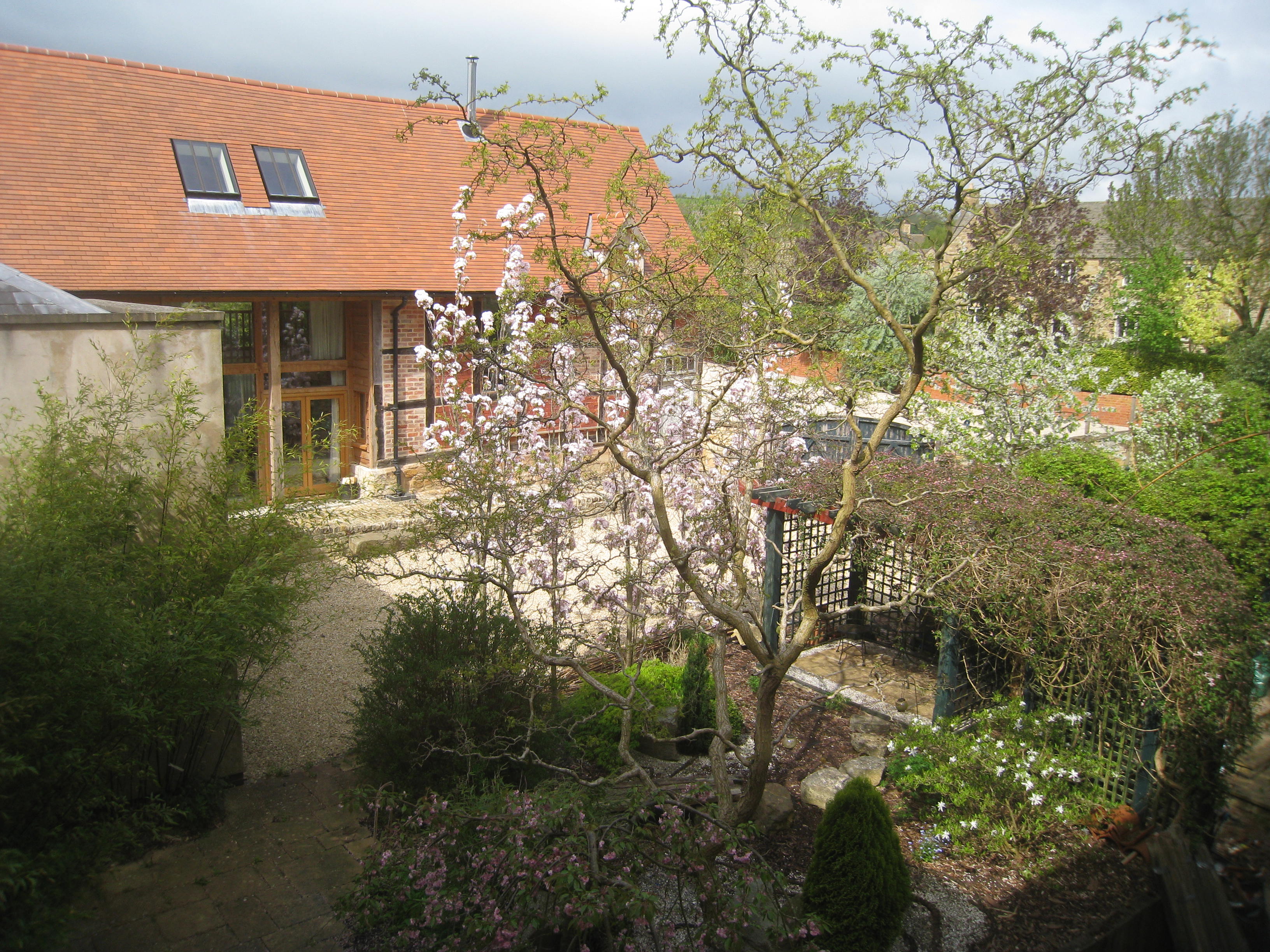 May 11th 2013 Blossom time!