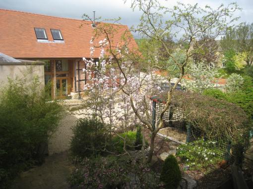 May 11th 2013 Blossom time!