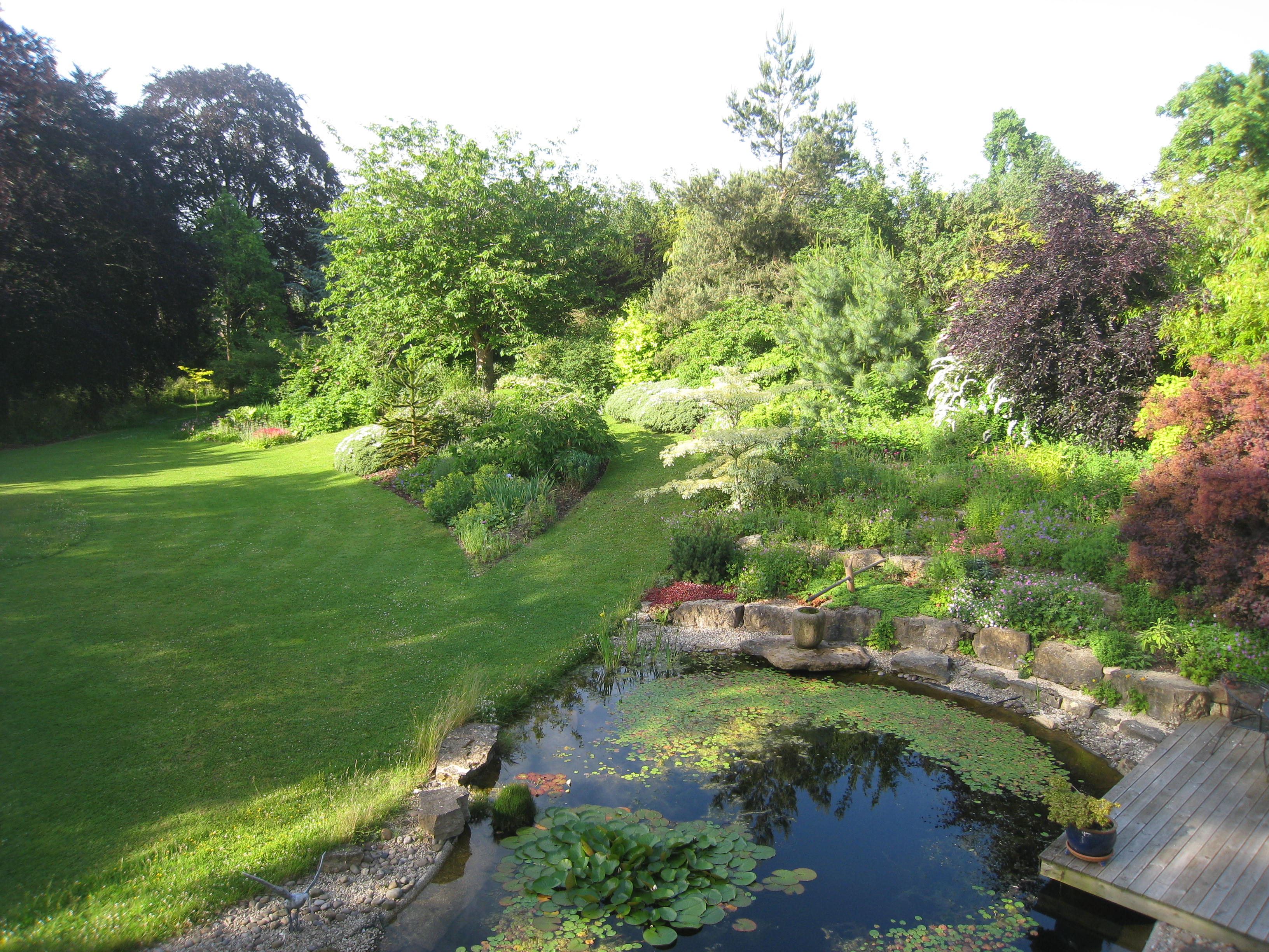 july 1st 2013 A view of our garden